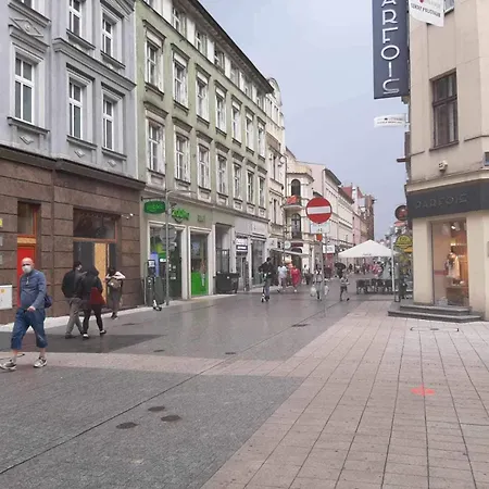 Apartamentkwiatowa 10 Poznań